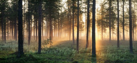 Tomas Utsi/imagebank.sweden