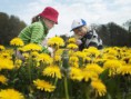 /album/gallery-a-multi-activity-adventure/ulf-lundin-flower-picking-2068-jpg3/
