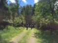 /album/gallery-land-of-lakes-castles/cycling-jpg2/