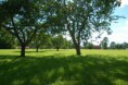 /album/gallery-land-of-lakes-castles/trees-jpg/